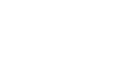Bizflow